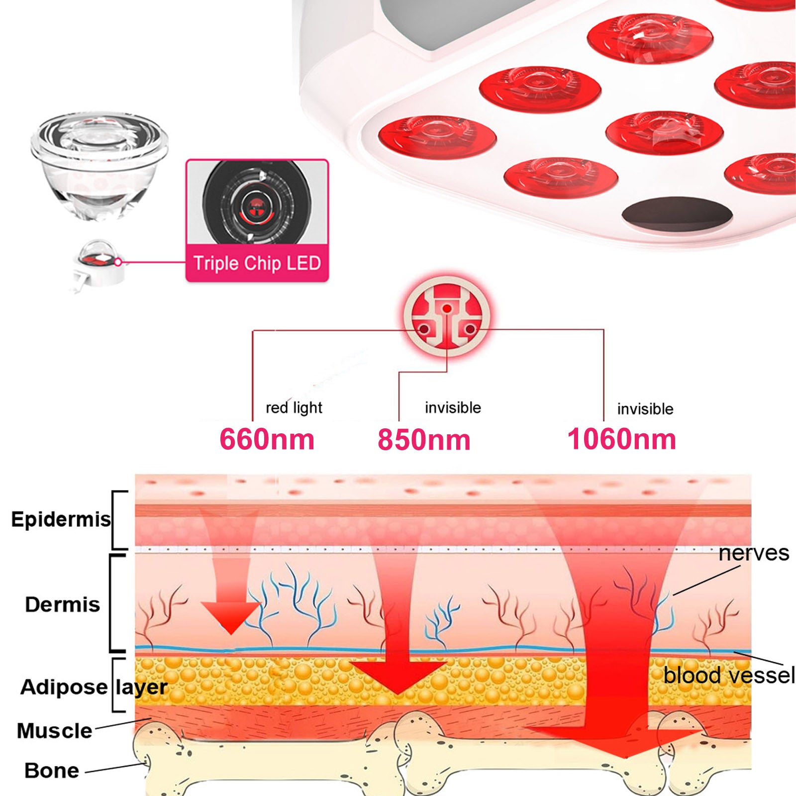 Bontanny Red Light Therapy Device - Portable BO-60 with 3 Wavelengths (660/850/1060nm)