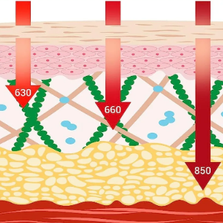 What is the Best Wavelength for Red Light Therapy?